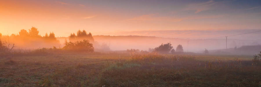 田野的阳光照耀着雾场的全景。雾灯