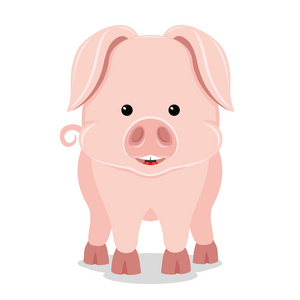 可爱的猪微笑站在白色背景