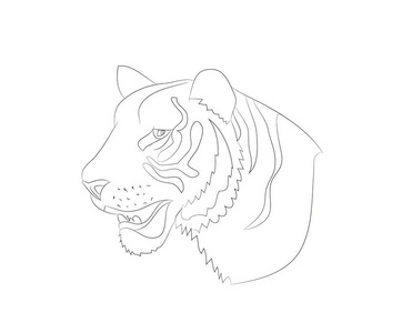 观赏虎的画像图片