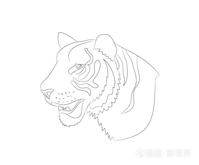 虎纹画像 矢量 白色背景插画 正版商用图片0rhdy4 摄图新视界 虎纹画像 矢量 白色背景插画 正版商用图片0rhdy4 摄图新视界