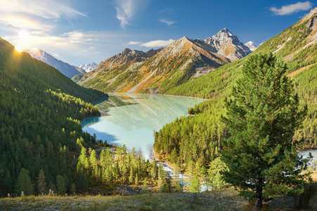 美丽的秋景，阿尔泰山俄罗斯