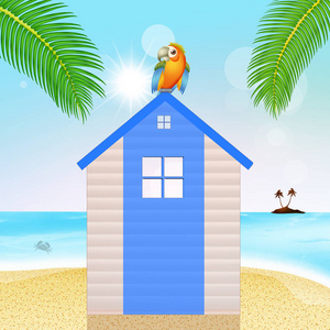 上海滩上的小木屋海鹦鹉