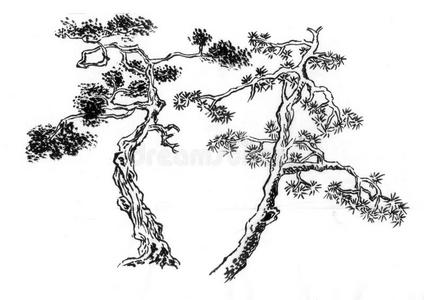 中国画一种松树图片
