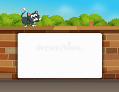 一只猫和一块白板
