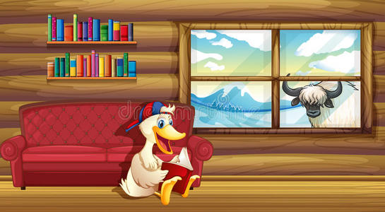 沙发边看书的鸭子
