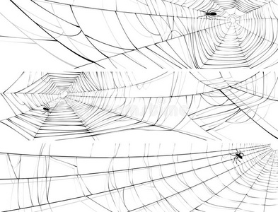 蜘蛛网横幅。