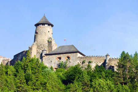 斯塔拉卢博夫纳城堡