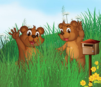 两个小熊在一个木制邮箱附近图片