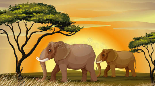 树下大象