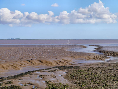 大胆的地平线河口向淤泥质海岸流出的水照片