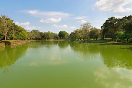 热带森林中巨大的人工池塘照片