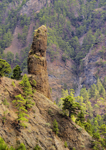 拉帕尔马塔布林特火山口国家公园