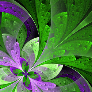 美丽的绿色和紫色分形花。