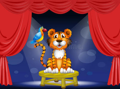 马戏团里的一只老虎和一只鹦鹉图片