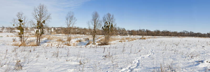 冬季河流景观全景图