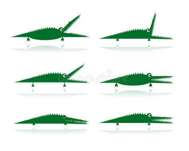 一套有趣的绿色鳄鱼图案