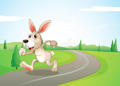 一只猫在奔跑卡通快乐兔子在白色背景上奔跑兔子卡通奔跑卡通兔子奔跑