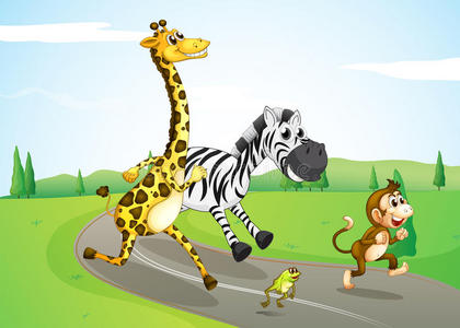 在斑点的青蛙在街上奔跑的动物照片