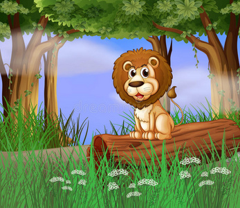坐在树干上的狮子