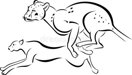 猎豹奔跑图片