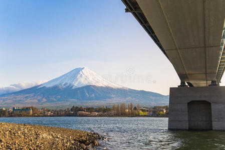 春天的富士山