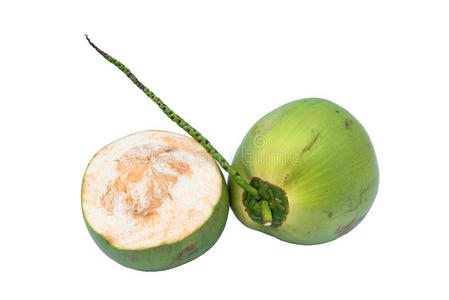 椰子果汁颜色涂鸦图片