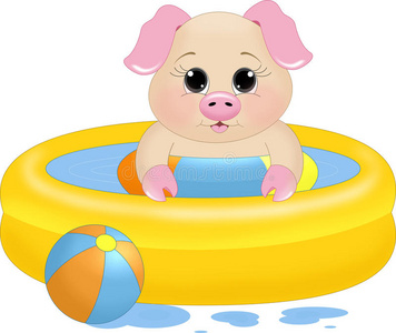 游泳池小猪照片