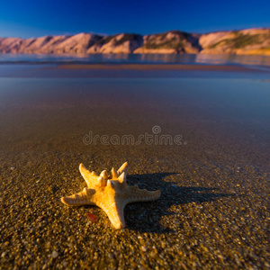 美丽的风景，克罗地亚海滩上的海星