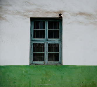 装饰性绿色窗户