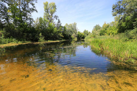 小河上的夏天图片
