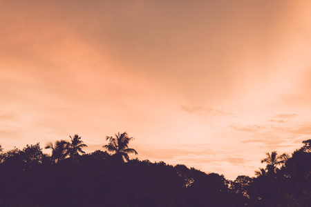 美丽的夕阳在热带的海滩度假村