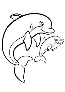 海洋野生动物.母海豚游泳与 h照片