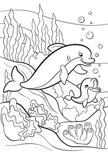 海洋野生动物.母海豚游泳与 h照片