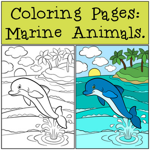 着色页  海洋动物。可爱的小海豚跳出来的