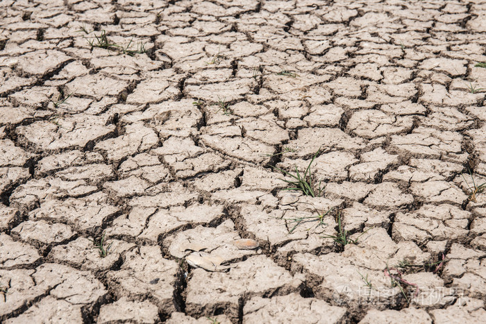 干燥的土壤干旱.干旱土地纹理背景