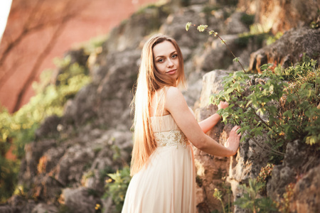 年轻漂亮的女人在长礼服站在岩石上
