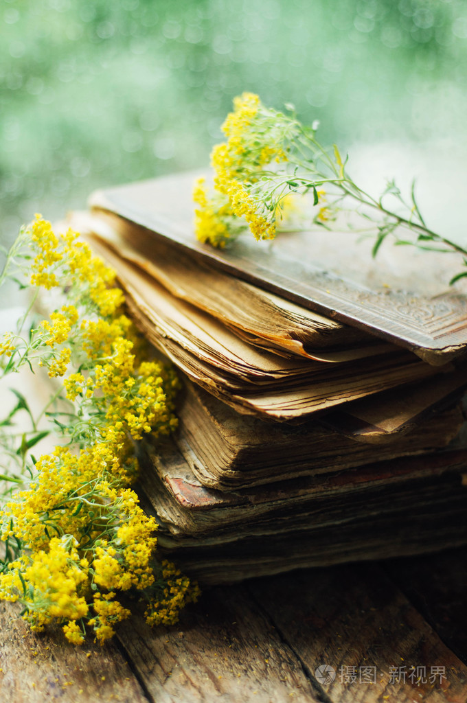 浪漫的背景与杯茶花和结束本打开的书