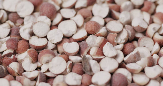 赤小豆芡实图片