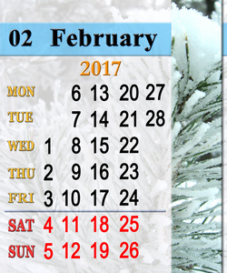 对与白雪皑皑的松枝 2 月 2017 年日历