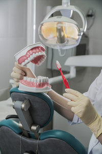 牙科医生在医院里拿着假牙和牙刷套