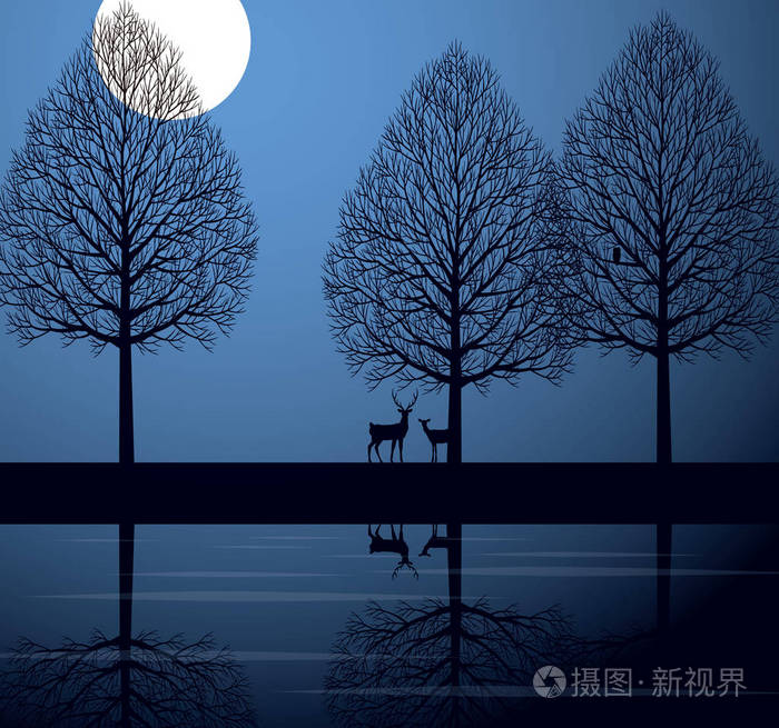 月光下的夜色和鹿
