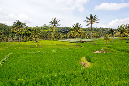 东南亚亚洲图片