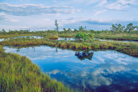 拉脱维亚国家沼泽公园