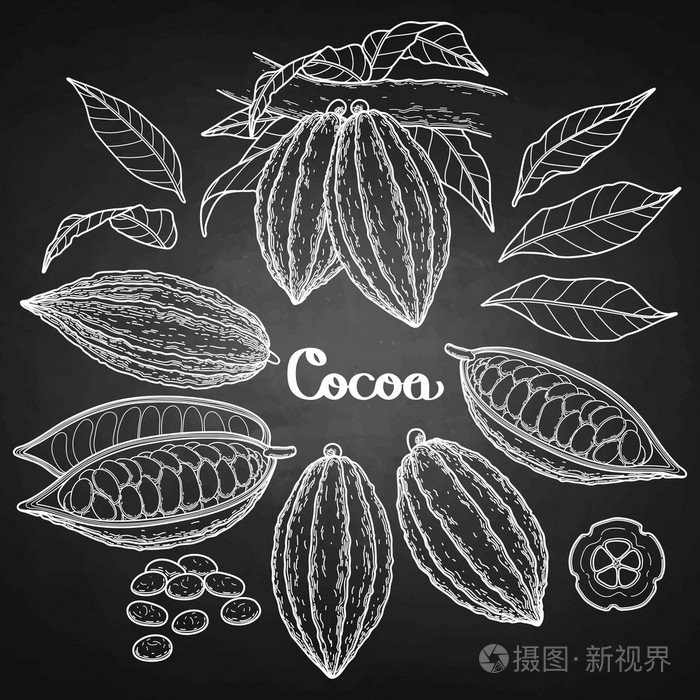 图形可可果插画-正版商用图片0rn7vl-摄图新视界