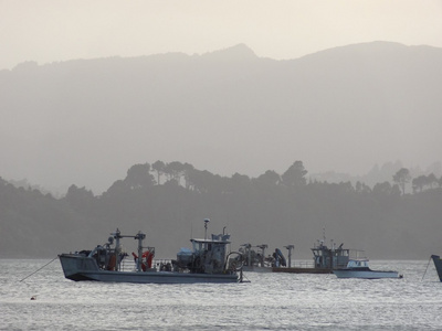 贻贝渔船 科罗曼德尔海港，新西兰的剪影