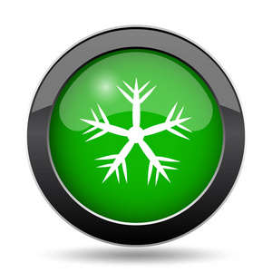 雪花图标, 绿色网站按钮白色背景