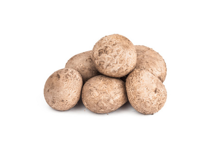 孤立在白色背景上的马勃菌蘑菇照片