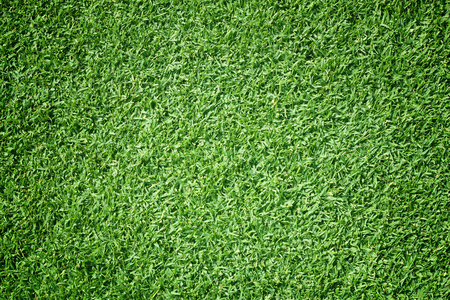 高尔夫球场绿色草坪