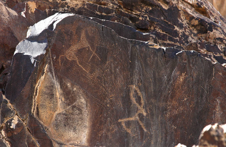 古代岩画，马，狗，长着大圆角鹿