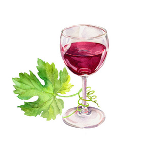 红葡萄酒杯，藤叶，向下滚动。水彩